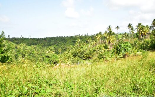 HAMPSTEAD, Calibishie – 6.25 Acres Of Agricultural Land With Resiential Potencial & Invigorating Ocean Views