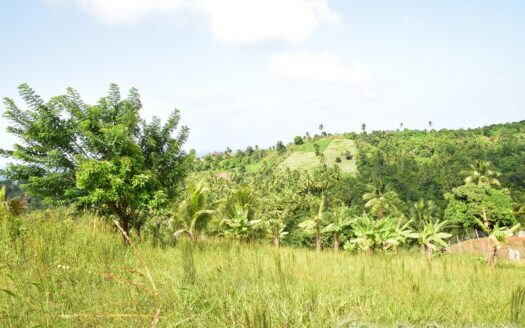 HAMPSTEAD, Calibishie – 6.25 Acres Of Agricultural Land With Resiential Potencial & Invigorating Ocean Views