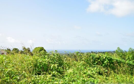 HAMPSTEAD, Calibishie – 6.25 Acres Of Agricultural Land With Resiential Potencial & Invigorating Ocean Views