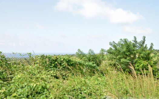 HAMPSTEAD, Calibishie – 6.25 Acres Of Agricultural Land With Resiential Potencial & Invigorating Ocean Views