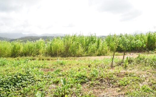 HAMPSTEAD, Calibishie – 6.25 Acres Of Agricultural Land With Resiential Potencial & Invigorating Ocean Views