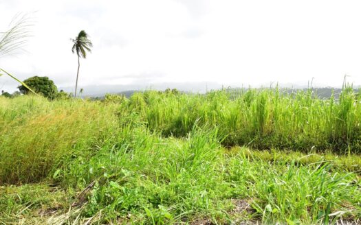 HAMPSTEAD, Calibishie – 6.25 Acres Of Agricultural Land With Resiential Potencial & Invigorating Ocean Views