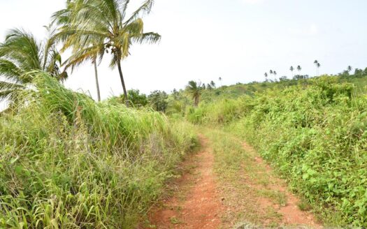 HAMPSTEAD, Calibishie – 6.25 Acres Of Agricultural Land With Resiential Potencial & Invigorating Ocean Views