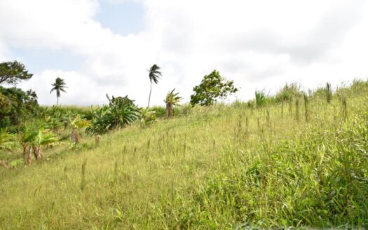 HAMPSTEAD, Calibishie – 6.25 Acres Of Agricultural Land With Resiential Potencial & Invigorating Ocean Views