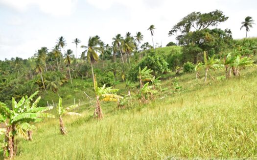 HAMPSTEAD, Calibishie – 6.25 Acres Of Agricultural Land With Resiential Potencial & Invigorating Ocean Views
