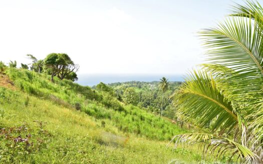 HAMPSTEAD, Calibishie – 6.25 Acres Of Agricultural Land With Resiential Potencial & Invigorating Ocean Views