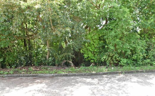 CALIBISHIE, Hodges – Prime Residential 14,059.sq.ft. Lot