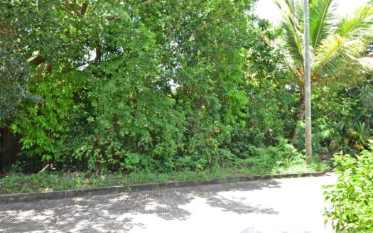 CALIBISHIE, Hodges – Prime Residential 14,059.sq.ft. Lot