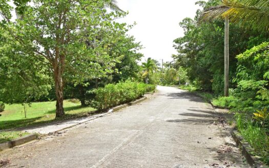 CALIBISHIE, Hodges – Prime Residential 14,059.sq.ft. Lot