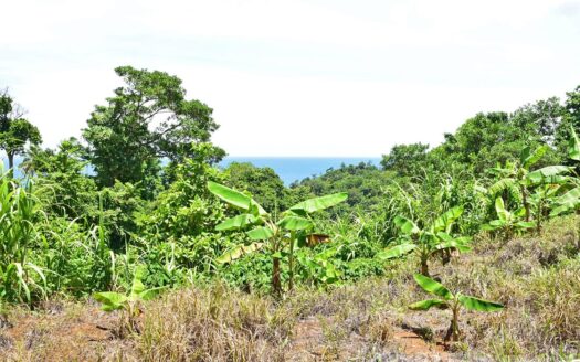 Richmond Estate, CASTLE BRUCE – 5.79 Acres Of Flat, Fertile Ocean View Land