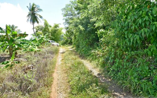 Richmond Estate, CASTLE BRUCE – 5.79 Acres Of Flat, Fertile Ocean View Land