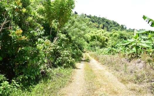 Richmond Estate, CASTLE BRUCE – 5.79 Acres Of Flat, Fertile Ocean View Land