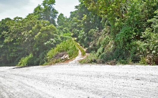 Richmond Estate, CASTLE BRUCE – 5.79 Acres Of Flat, Fertile Ocean View Land