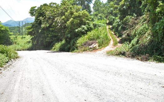 Richmond Estate, CASTLE BRUCE – 5.79 Acres Of Flat, Fertile Ocean View Land