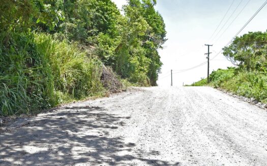 Richmond Estate, CASTLE BRUCE – 5.79 Acres Of Flat, Fertile Ocean View Land