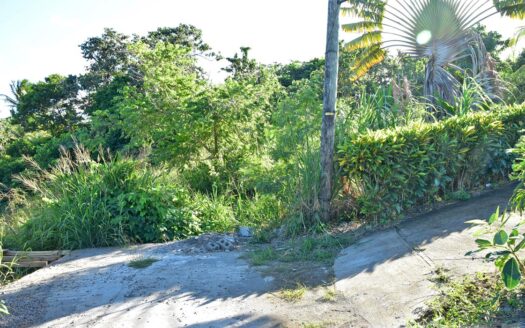 Hodges, CALIBISHIE – 5,381.sq.ft. Residential Lot