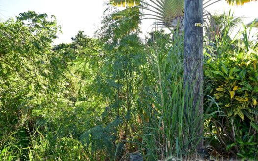 Hodges, CALIBISHIE – 5,381.sq.ft. Residential Lot