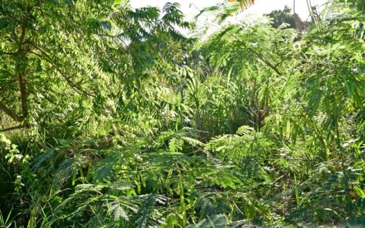 Hodges, CALIBISHIE – 5,381.sq.ft. Residential Lot