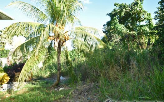 Hodges, CALIBISHIE – 5,381.sq.ft. Residential Lot