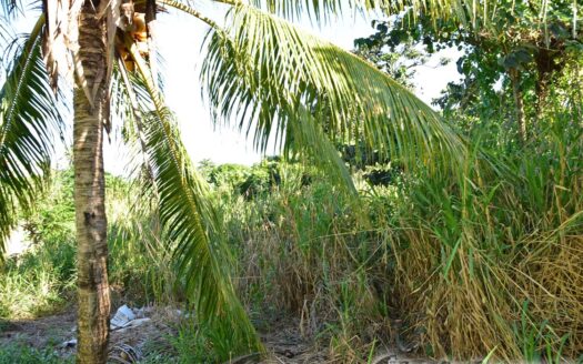 Hodges, CALIBISHIE – 5,381.sq.ft. Residential Lot