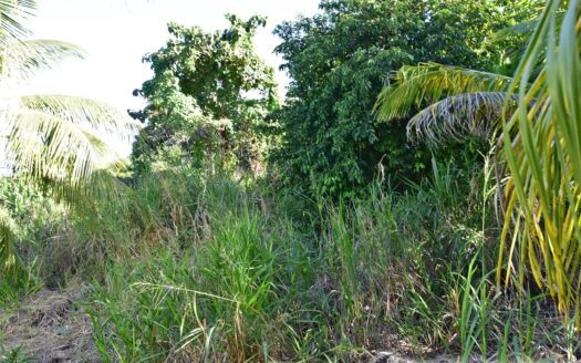 Hodges, CALIBISHIE – 5,381.sq.ft. Residential Lot