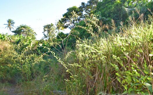 Hodges, CALIBISHIE – 5,381.sq.ft. Residential Lot