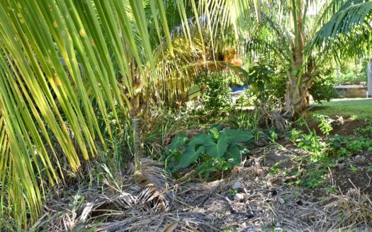 Hodges, CALIBISHIE – 5,381.sq.ft. Residential Lot