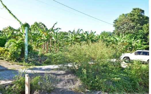 Hodges, CALIBISHIE – 5,381.sq.ft. Residential Lot