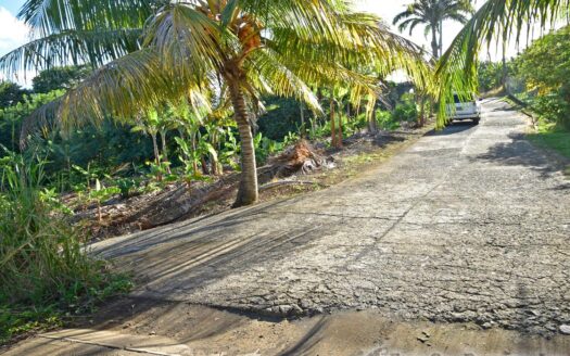 Hodges, CALIBISHIE – 5,381.sq.ft. Residential Lot