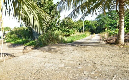 Hodges, CALIBISHIE – 5,381.sq.ft. Residential Lot