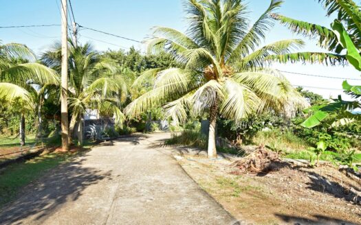 Hodges, CALIBISHIE – 5,381.sq.ft. Residential Lot