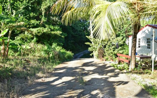 Hodges, CALIBISHIE – 5,381.sq.ft. Residential Lot