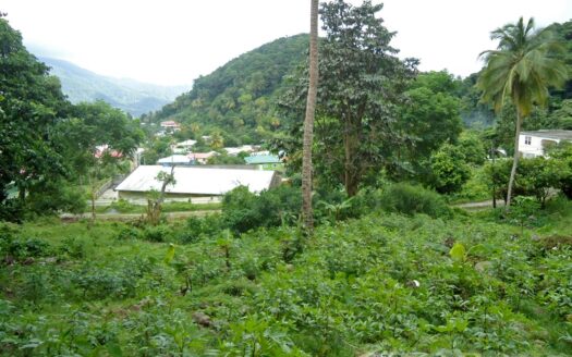 MONTINE, Grand Bay – Elevated 10,788.sq.ft. Vacant Lot