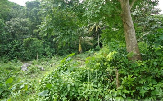 MONTINE, Grand Bay – Elevated 10,788.sq.ft. Vacant Lot