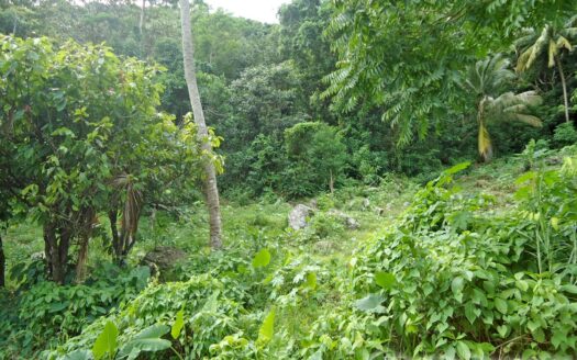 MONTINE, Grand Bay – Elevated 10,788.sq.ft. Vacant Lot