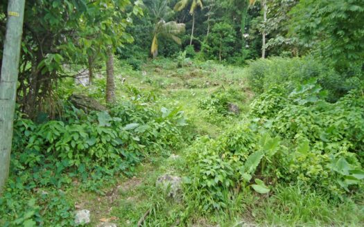 MONTINE, Grand Bay – Elevated 10,788.sq.ft. Vacant Lot