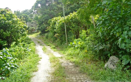MONTINE, Grand Bay – Elevated 10,788.sq.ft. Vacant Lot