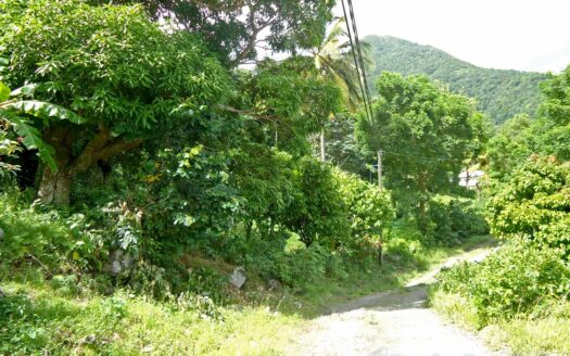MONTINE, Grand Bay – Elevated 10,788.sq.ft. Vacant Lot