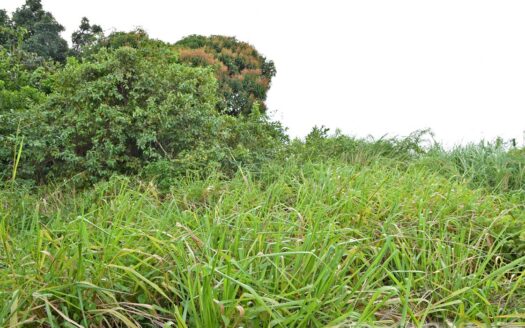 EGGLESTON – 1.352 Acres Residential Vacant Land With Sea View