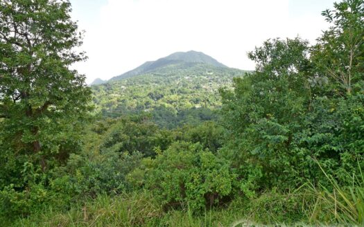 EGGLESTON – 1.352 Acres Residential Vacant Land With Sea View