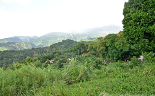 EGGLESTON – 1.352 Acres Residential Vacant Land With Sea View