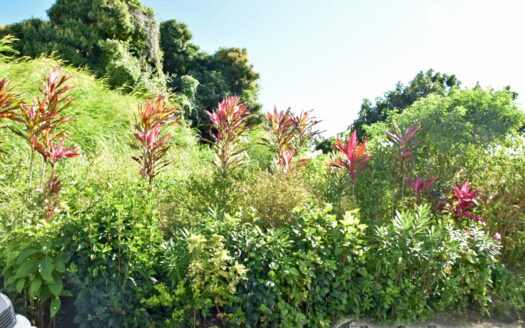 EGGLESTON – 1.352 Acres Residential Vacant Land With Sea View