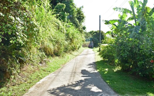 EGGLESTON – 1.352 Acres Residential Vacant Land With Sea View