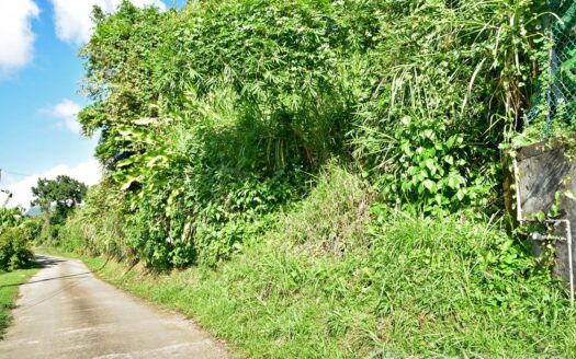 EGGLESTON – 1.352 Acres Residential Vacant Land With Sea View