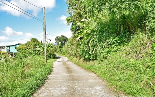 EGGLESTON – 1.352 Acres Residential Vacant Land With Sea View