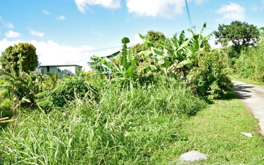 EGGLESTON – 1.352 Acres Residential Vacant Land With Sea View