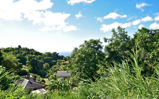 EGGLESTON – 1.352 Acres Residential Vacant Land With Sea View