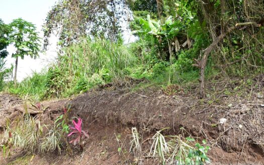 EGGLESTON – 1.352 Acres Residential Vacant Land With Sea View