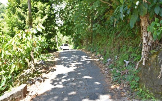 SHAWFORD, Roseau Valley – 2 Storey, 4 Bedroom Lovely Family Home