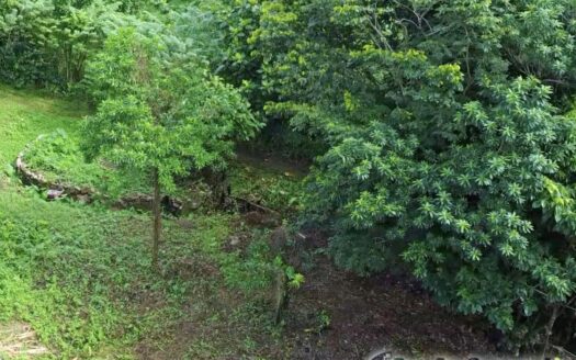 BELLES, Riversdale Estate – 2 Acres Of Elevated Residential /Agricultural Land With River